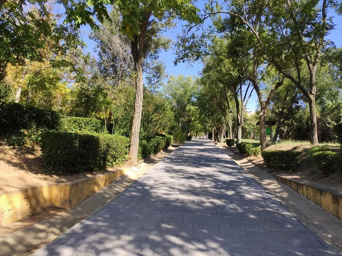 דירה טולדו Apartamento Rosa Park